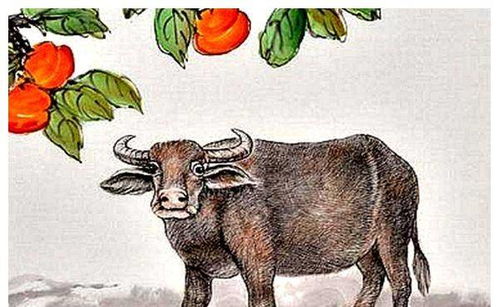 屬牛缺金2022用什麼顏色,屬牛最忌諱的顏色是什麼?