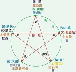 君歌環宇五行清體液,什麼是五行通體液,五行通體液有什麼作用,對