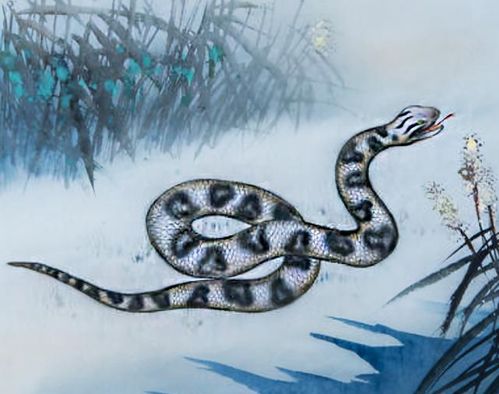 屬金的歲數是多少,屬雞今年多大歲數