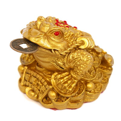 金蟾屬性是屬陽嗎,金蟾是什麼動物