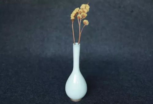 什麼質地的花瓶屬水,鮮花在花瓶中用什麼水養