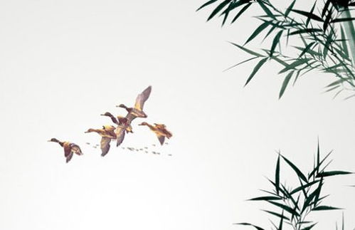 五行屬金的字帶財,五行屬「金」的字有哪些?