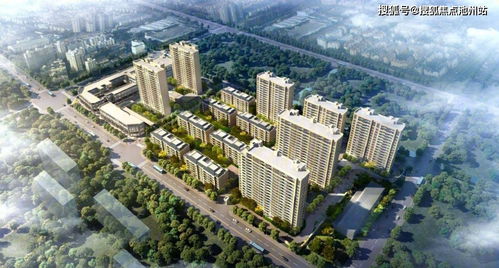 日屬金地也屬金是什麼生肖,五行對應什麼生肖?