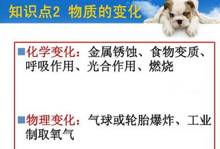 自學金補助屬重點公益嗎,公益性協警什麼意思?有三險一金嗎?工資多少?能有轉正機會嗎??