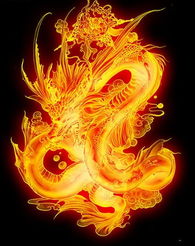 姓鄭男屬龍缺火的名字,屬龍的女孩缺木和金取名字姓劉該如何取名