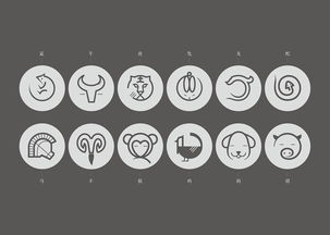 十二生肖屬什麼水命土命金命,金木水火土年份對照表