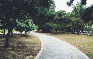 屬金的人買4樓好嗎,我住的樓層與風水有影響嗎?我想請問下我老婆,是1985年農歷7月?