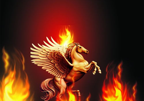 屬虎水和屬馬金怎麼,屬虎人和屬馬人的婚配與命運