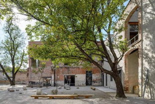 五行屬金的院中樹,按五行八卦院子里種什麼樹好呢