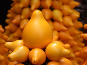 北京屬水還是屬金,品五行中屬什麼?是屬水,還是屬土金,又有說屬金