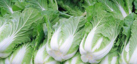 火同菜大白菜屬草酸高,【尋找】最完善的蔬菜草酸含量列表或者網站