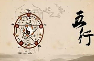 74的摩羯座五行屬金還是木,問一下1974年3月15日子時出生的女子水命不是金命,五行中缺什