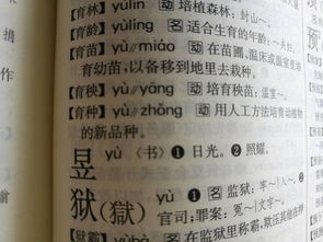 鑫字五行屬庚金還是辛金,鑫字五行屬木還是屬金?起名用