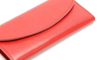 女士命里屬火用什麼顏色錢包,錢包顏色有哪些風水講究?