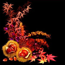 十四畫屬金的寓意,五行金屬性的字,要求繁體字是14畫的