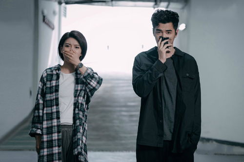 金火多木少屬什麼命,一九六七年屬相是什麼