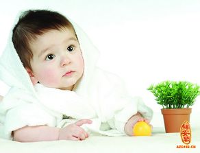 五行屬火的字陳字,在五行之中屬木 屬火的所有字,有哪些字