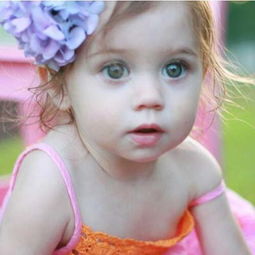 魯姓屬木火字女孩名,帶木字火字旁的女孩名字