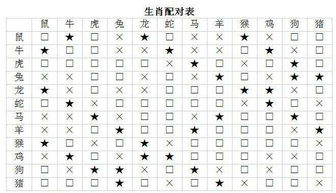 屬木金雙屬性的字,生肖科舉答案