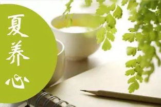 心五行屬火是陽中的太陽,心字怎麼理解