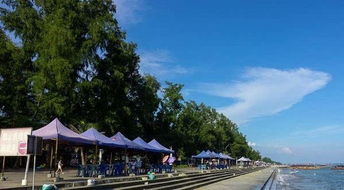 東興金灘屬萬尾村嗎,重慶萬尾金灘有多遠