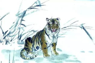 屬老虎是火還是土,虎為什麼在生肖排名第三?