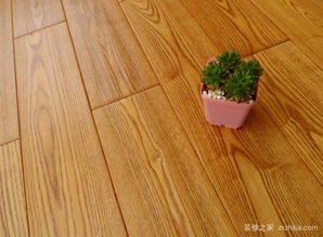 白蠟木屬針葉木還是闊葉木,白蠟木屬於什麼檔次