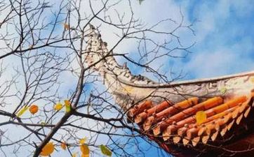 辦公室四大招財風水寶典及禁忌 辦公室招財風水佈局圖