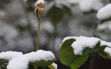 空調滴水有哪些原因 空調安裝位置有哪些禁忌