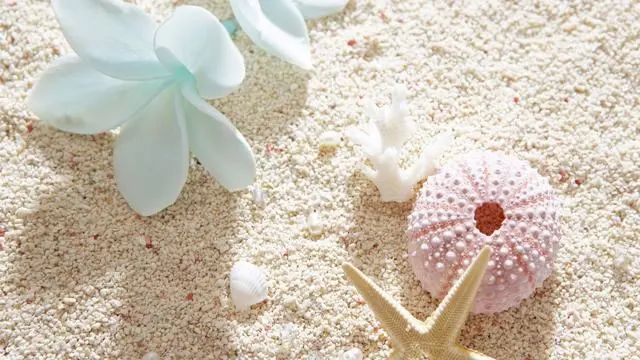 慧極必傷,這三個星座固然高智商,即便看透一切,終究敗給自己