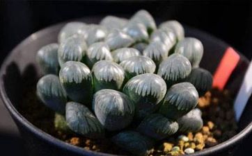 老人去世後,如何穿壽衣?有哪些講究