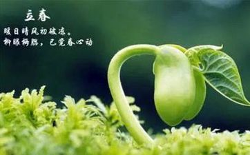 冰箱擺放在家中哪個方位最吉利