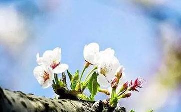 工廠大門朝向風水 有什麼講究