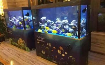 人死了以後借的貸款還要還嗎? 人死了之後借款需要還嗎