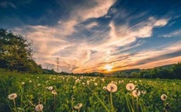 太歲符和太歲化解符有什麼區別 太歲符全面提升流年運勢