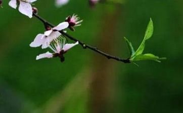 枕頭放錢旺財如何放 把錢放枕頭底下有什麼好處