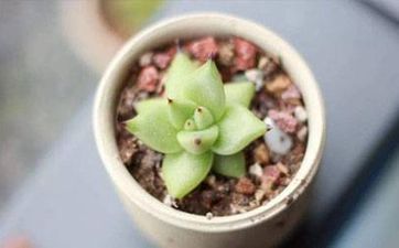 屋脊煞距離多少米有影響?