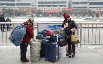 烏龜盯著主人看錶示什麼
