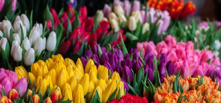 2022年黑兔年大災難 黑兔年會有著什麼災難