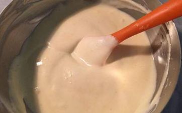 外來貓進家有什麼預兆?貓進家中的因果佛說法解釋