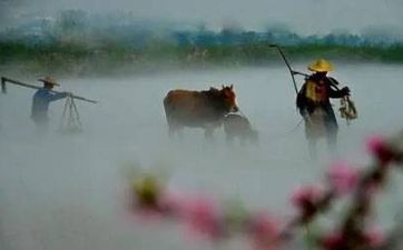 哪些物件容易破壞風水寶地的風水呢