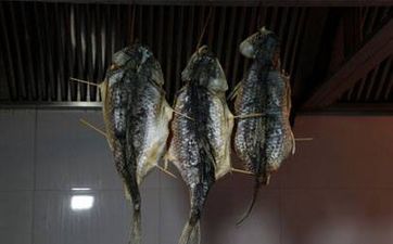 0到5刻度暖氣閥門使用圖 有數字的暖氣閥門怎麼用