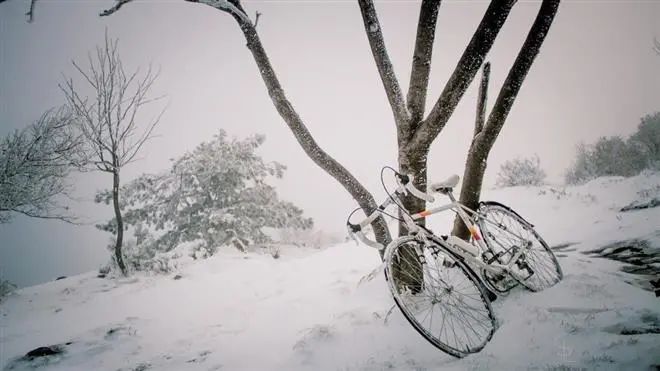 蘇珊米勒每日運勢2023年1月31日