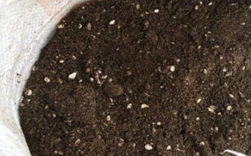 過年家裡掛燈籠的講究 過春節掛幾個燈籠好