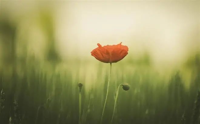 蘇珊米勒每日運勢2023年1月30日