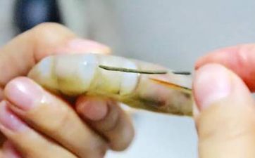 烏龜死了寓意什麼