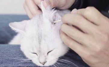 老闆辦公室風水佈局 老闆辦公室風水圖解