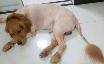 避開壞風水 讓你的生活更健康