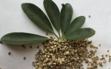 玄關風水:怎麼才能打造一個好的門廳玄關裝修風水佈局?