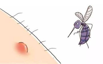 利財的辦公室佈局 保持通道乾淨無雜物